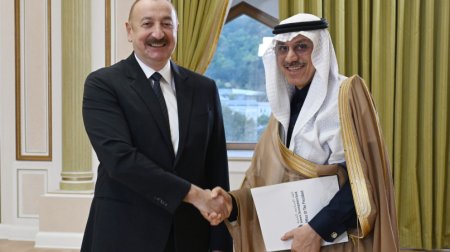 Prezident Ərəb Koordinasiya Qrupuna daxil olan üzv qurumların rəhbər şəxslərini qəbul etdi – FOTO