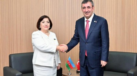 Milli Məclisin sədri Türkiyə Respublikasının Vitse-prezidenti ilə görüşüb