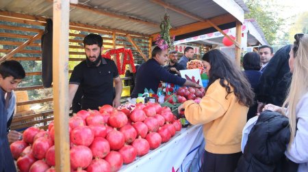 Göyçay narının kilosu 10 manata yüksəldi - Satışında REKORD HƏDD