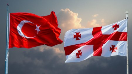 Türkiyə və Gürcüstanın XİN başçıları arasında təyyarə qəzası ilə bağlı telefon danışığı oldu