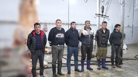 DİN və AQTA-dan BİRGƏ ƏMƏLİYYAT: Xəstə heyvanların ətini satanlar TUTULDU - VİDEO