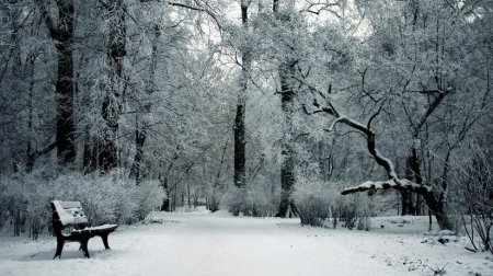 Sabah qar yağacaq &ndash; 13 dərəcə şaxta olacaq