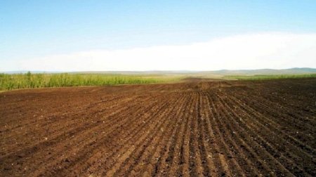 Bu rayonlarda torpaq sahəsi almaq istəyənlərin NƏZƏRİNƏ