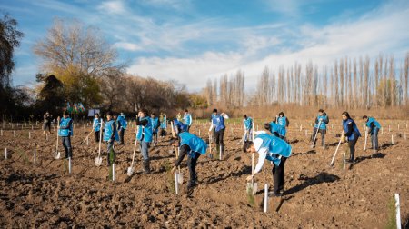 IDEA Sabirabad və Cəlilabad rayonlarında kütləvi ağacəkmə aksiyaları təşkil etdi &ndash; FOTO