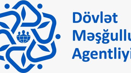 Dövlət Məşğulluq Agentliyi müəllif hüquqlarını pozub - İDDİA