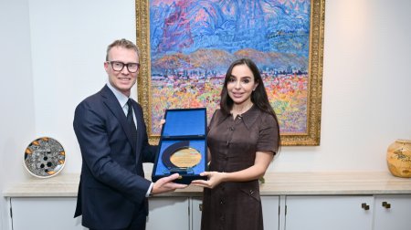 Leyla Əliyeva ÜST-nin Avropa üzrə Regional Ofisinin xüsusi nümayəndəsi ilə görüşüb - FOTO