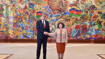 Sahibə Qafarova Monteneqro XİN rəhbəri ilə görüşdü &ndash; FOTO