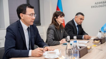 ETSN ilə BMT arasında gələcək fəaliyyət istiqamətlərinə dair müzakirələr aparıldı - FOTO