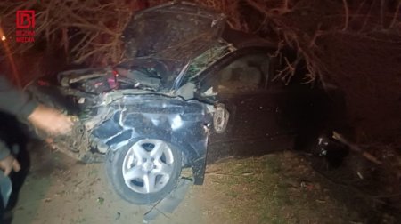 Tovuzda ağır qəza: &ldquo;Opel&rdquo; ağaca çırpılıb su arxına düşdü &ndash; Xəsarət alan var &ndash; FOTO