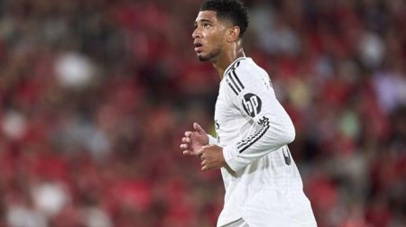 Bellinqem üçün sərvət ödəməyə HAZIRDIRLAR