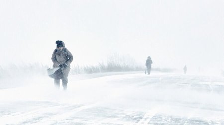 Bu ölkədə fırtına - 160 mindən çox ev elektriksiz qaldı