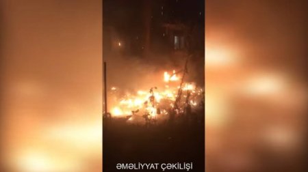 Bakıda ağaclıq sahədə YANĞIN OLUB - VİDEO