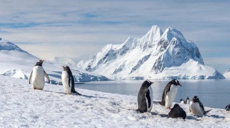 Antarktidada itən robot 9 ay sonra qorxulu məlumatlarla geri döndü