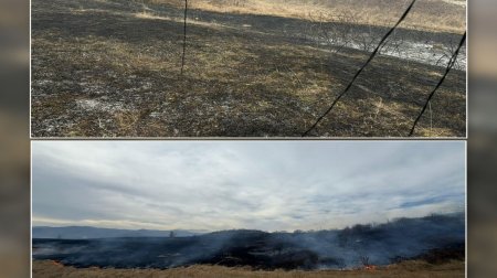 Xocalıda yanğına səbəb olan şəxs SAXLANILDI