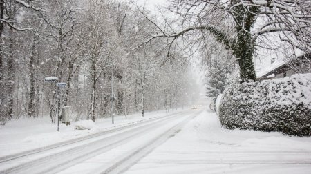 Bu rayonlara qar yağır - FAKTİKİ HAVA