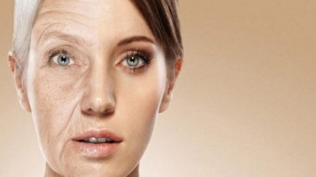 Qocalmaq istəmirsinizsə, yeməyinizə bunu ƏLAVƏ EDİN