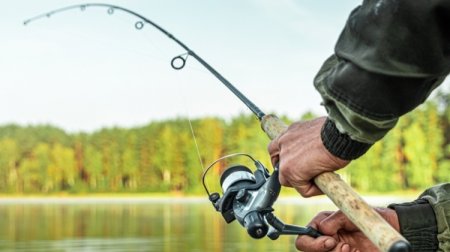 Balıq ovu üçün kvota təsdiqləndi &ndash; QİYMƏTLƏR