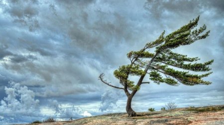 Güclü külək əsəcək &ndash; XƏBƏRDARLIQ