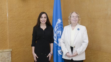 Leyla Əliyeva BMT-nin Cenevrədəki ofisinin baş direktoru ilə görüşüb - FOTO