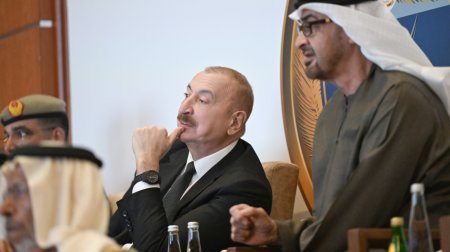 Prezident Əbu-Dabidə &ldquo;Sülh Qalxanı - 2026&rdquo; təlimini izlədi &ndash; FOTO
