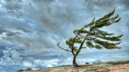 FAKTİKİ HAVA: Kəlbəcərdə güclü külək əsib
