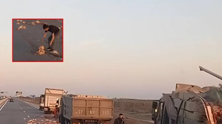 Bakı-Quba yolunda yük avtomobilləri toqquşdu - Toyuqlar yola dağıldı - VİDEO