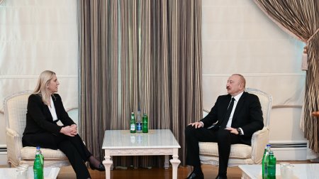 İlham Əliyev Jelka Tsviyanoviç ilə görüşdü &ndash; FOTO