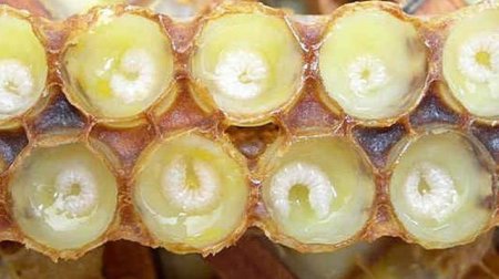 Azərbaycanda cəmi 254 kiloqram istehsal olunub, qramı 6.8 manata satılır