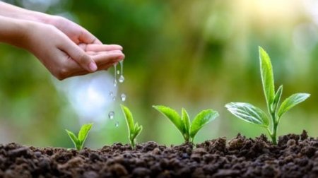 Bu gün İlaxır çərşənbədir