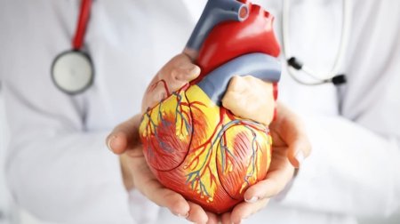 Ürək xəstəliklərinin müalicəsi üçün YENİ ÜSUL - Əməliyyatlara ehtiyac olmayacaq?