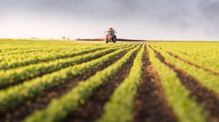 Kənd təsərrüfatı məhsullarının istehsalı 1,2 faiz ARTDI