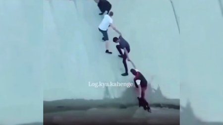 İti xilas edənlərə heykəl qoyuldu - VİDEO