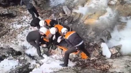 Qəbələdə 50 yaşlı kişi dağda yıxılaraq xəsarət alıb - VİDEO