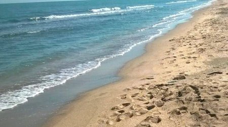 Xəzərin geri çəkilməsi balıqçıları çətin duruma saldı &ndash; VİDEO