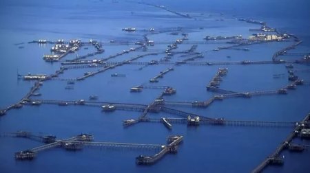 Neft Daşlarında meyit tapıldı