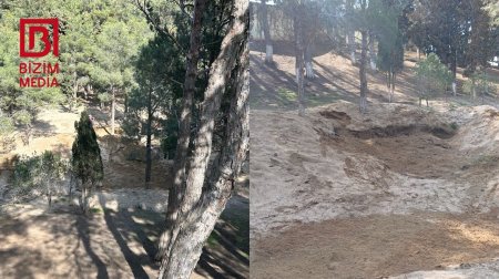 Bizim.Media yazdı &ndash; Sumqayıtda yaşıllıq əraziyə müdaxilənin qarşısı alındı &ndash; FOTO