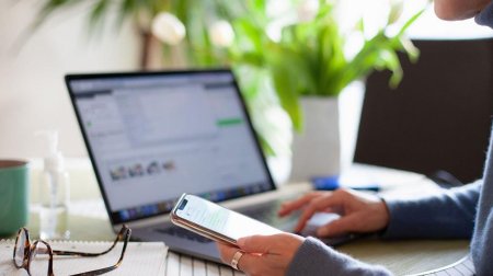 Onlar da qənaətə keçdilər - Evdən işləyəcəklər