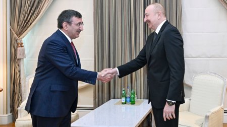 İlham Əliyev Türkiyənin Vitse-prezidenti ilə GÖRÜŞDÜ - FOTO