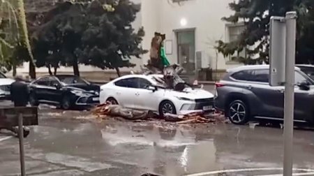 Nəhəng ağac &ldquo;BYD&rdquo;nin üstünə aşdı &ndash; VİDEO