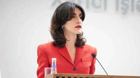 Gürcüstan XİN başçısı: "İlham Əliyevi Tbilisidə salamlamaq bizim üçün böyük şərəfdir" - FOTO