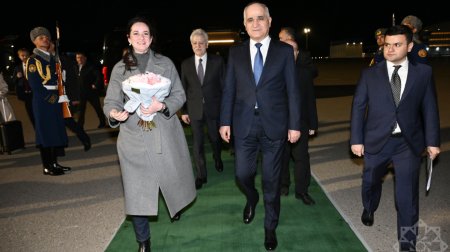 Litvanın Baş naziri Azərbaycana səfərə gəldi - FOTO