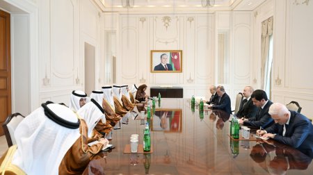Prezident Birləşmiş Ərəb Əmirliklərinin nümayəndə heyətini qəbul etdi &ndash; FOTO