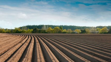 Suqovuşanda əkin üçün torpağa sahiblənmək istəyənlərə MÜJDƏ