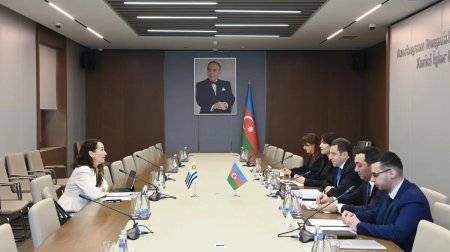 Azərbaycanla Uruqvay arasında viza rejimi müzakirə edildi - FOTO