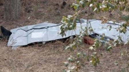 Goranboyda ağacların arasından meyit tapıldı