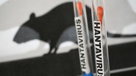 Hantavirusa yoluxanlar 42 gün təcrid ediləcəklər