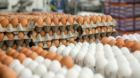 Azərbaycanda yumurtanın qiyməti 1 qəpiyə düşdü: Səbəb nədir?