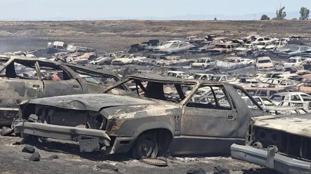 Dəhşətli yanğın: 9000 avtomobil və 60 illik ailə biznesi külə döndü