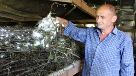Oğuzda kənd təsərrüfatı yeni mərhələdə - FOTO/VİDEO