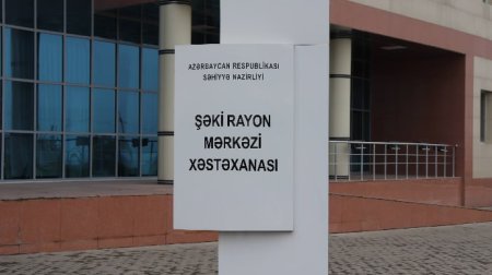 Şəkidə parkdan keçən kişini it dişlədi